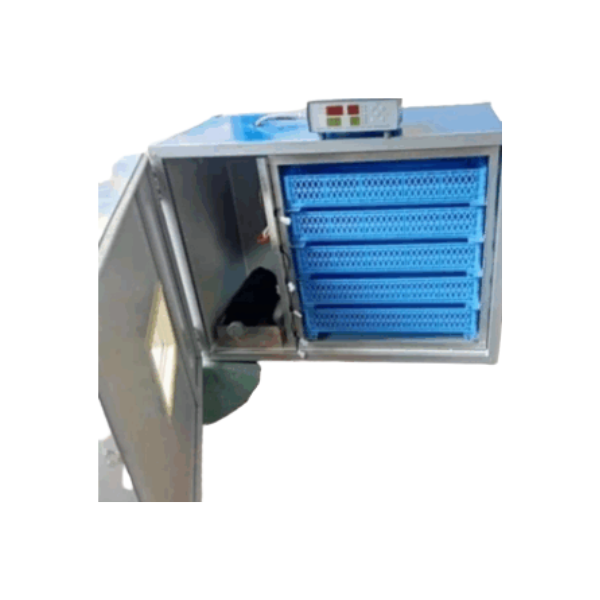 352-egg incubator in Kenya