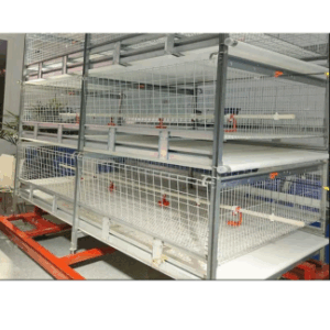 Broiler Cages