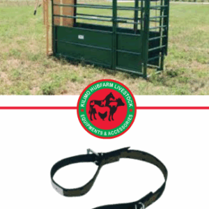 livestock handling and restraint equipment